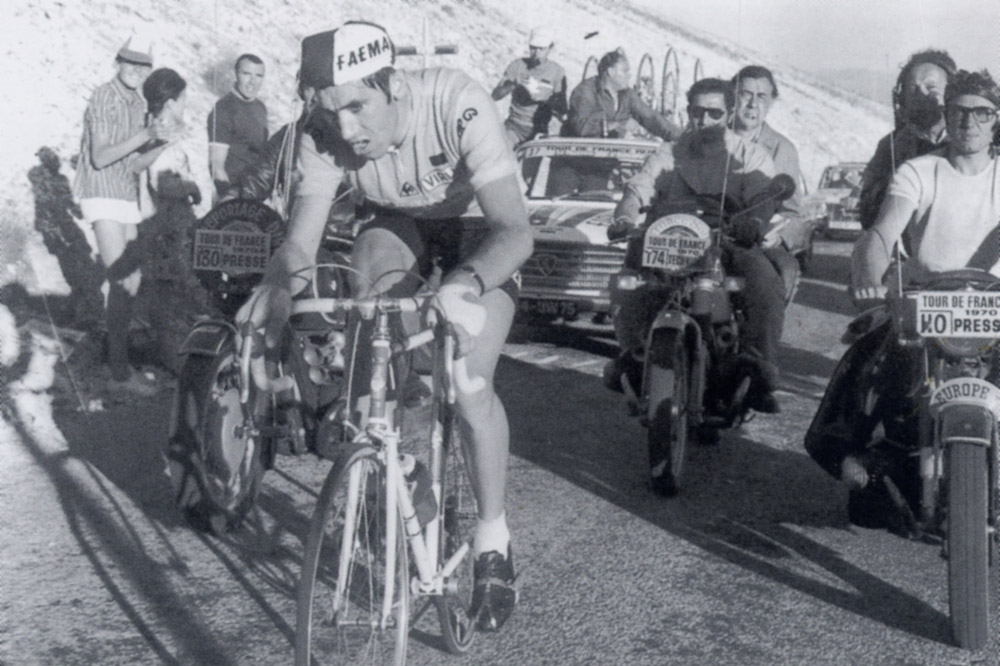 Le cannibale top cyclisme