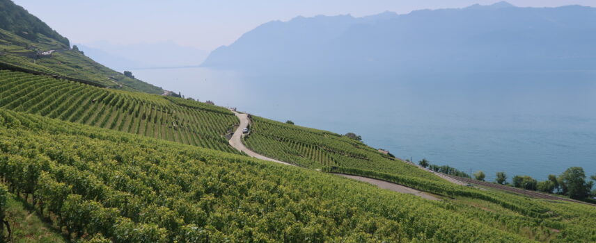 La splendeur du Lavaux, domaine viticole et terre de cyclisme / Crédits : Vélo 101