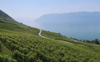 La splendeur du Lavaux, domaine viticole et terre de cyclisme / Crédits : Vélo 101