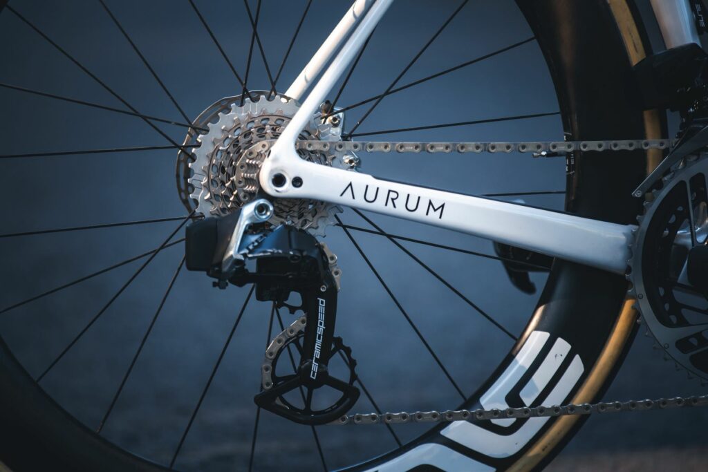 chape certamic speed sram ted