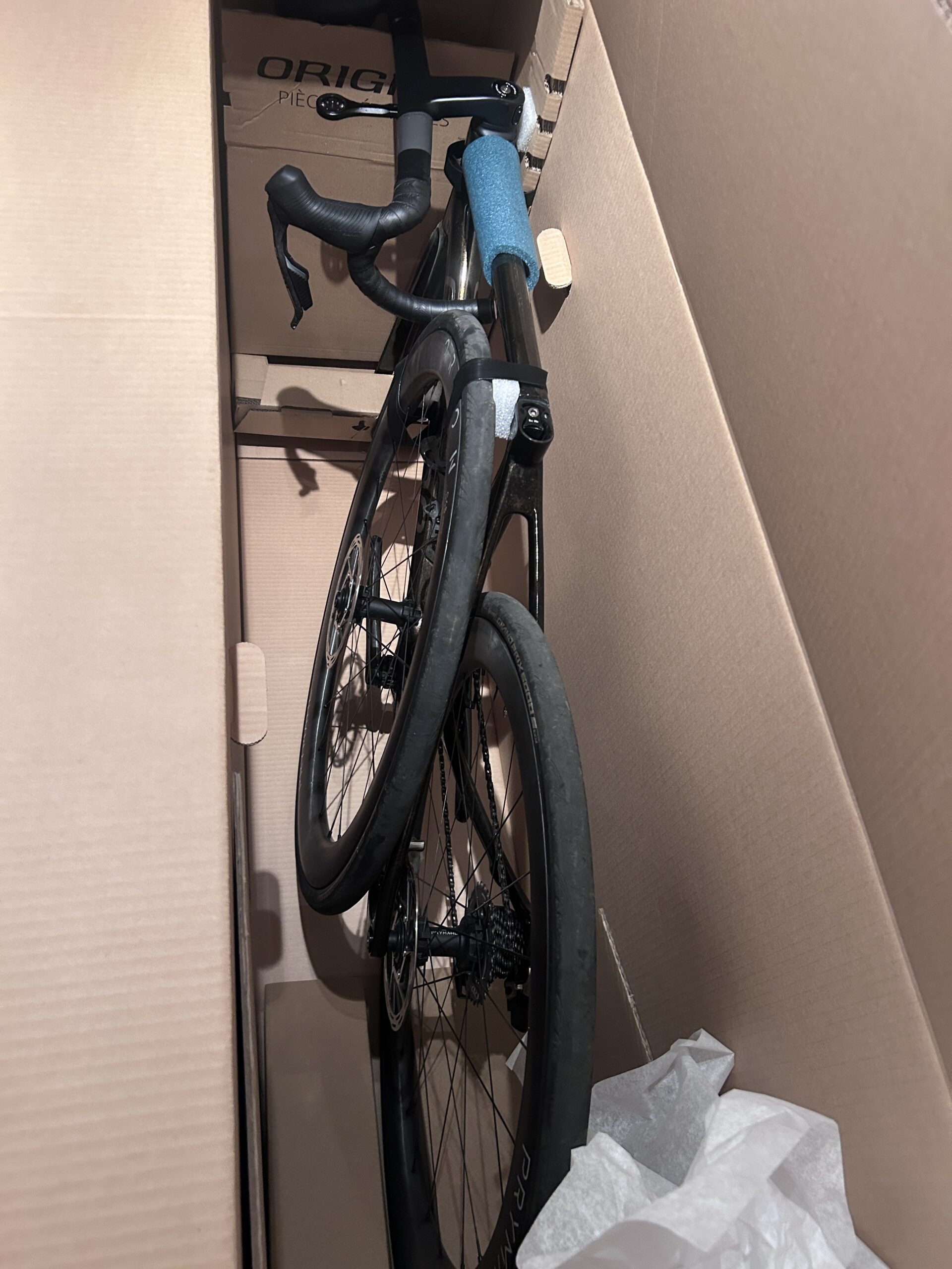 Axxome RR carton